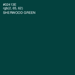 #02413E - Sherwood Green Color Image
